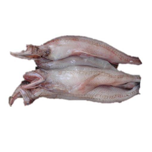 Picture of Loitta Fish - 1 kg