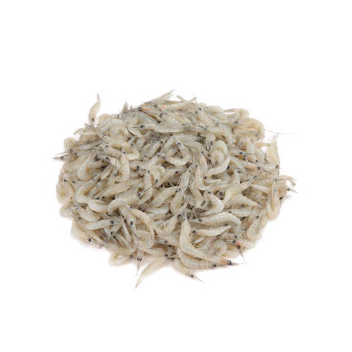 Picture of Deshi Small Chingri - 500 gm