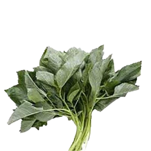 Picture of Jute Spinach - 1 bundle