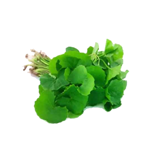 Picture of Thankuni Leaf - 1 bundle