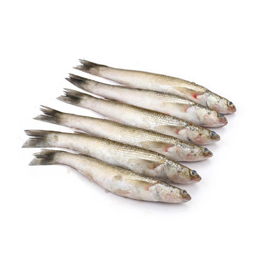 Picture of Bata Fish (Medium) - 500 gm